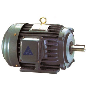 AEEF Motor, Recumbent Style Motor AEEF Motor, Recumbent Style Motor