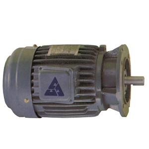 flange motor, vertical motor flange motor, vertical motor