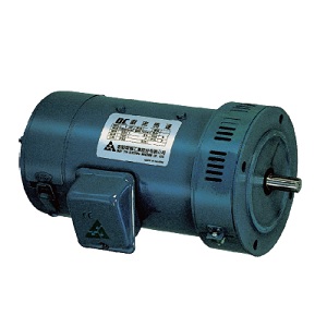 Frank Upright TD Type Motor Frank Upright TD Type Motor